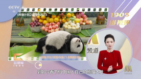 欧美美女一区二区三区